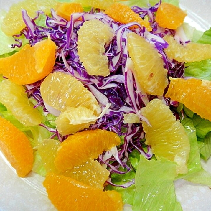 河内晩柑とオレンジ紫キャベツのサラダ
